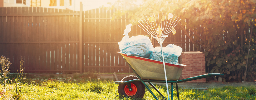 Fall Cleanup. 5 Ways to get your finances in order.